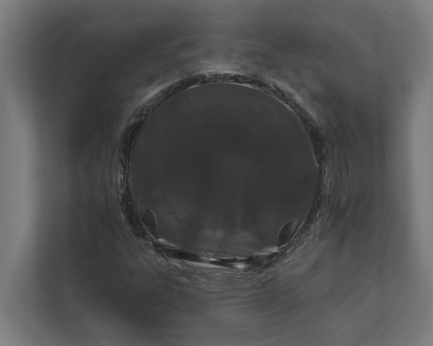 X0000112181303200908211452