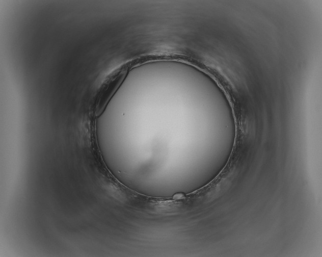 X0000112181304200908211452