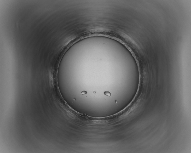 X0000112181305200908211452