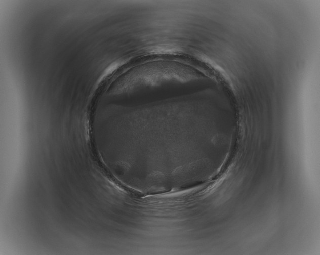 X0000112181306200908211452