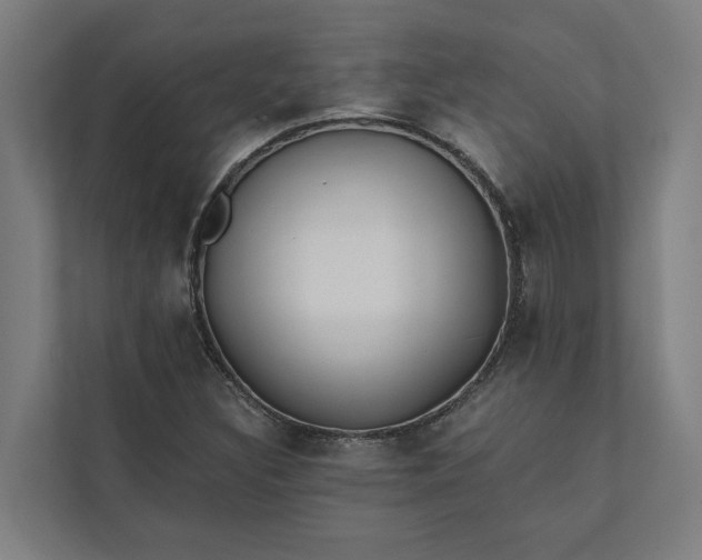 X0000112181308200908211452