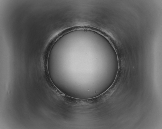 X0000112181311200908211452