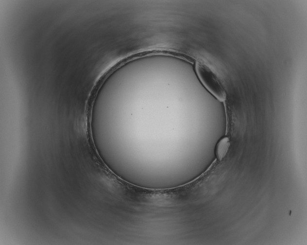 X0000112181316200908211452