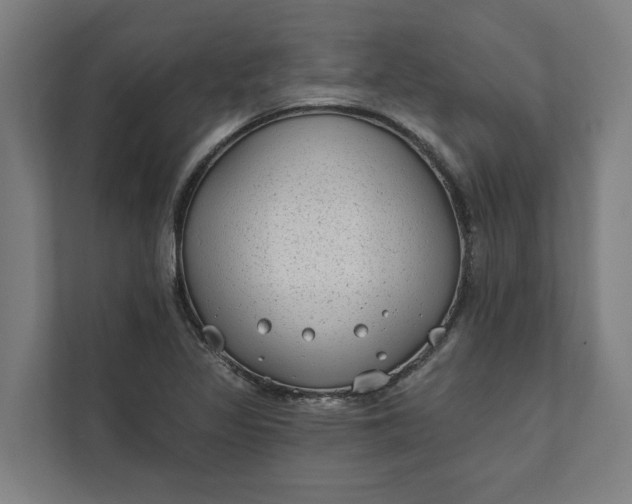 X0000112181317200908211452