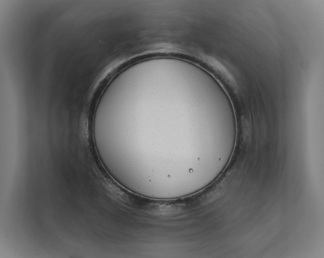 X0000112181318200908211452