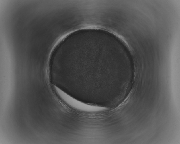 X0000112181319200908211452