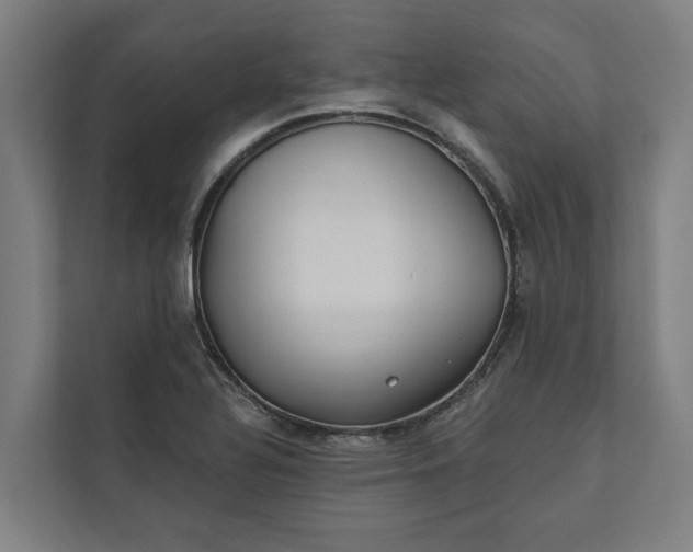 X0000112181320200908211452