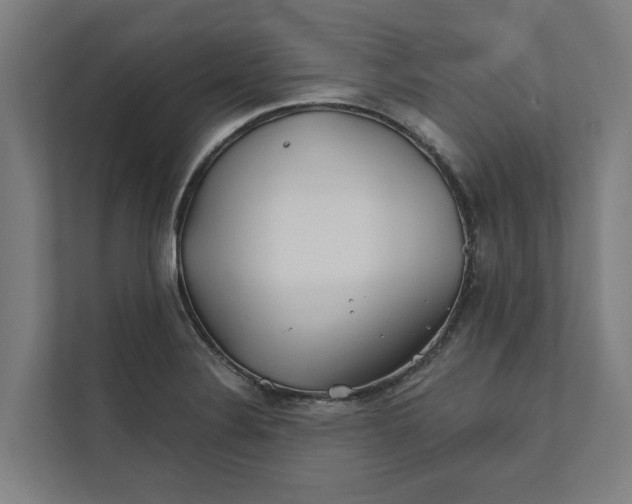 X0000112181324200908211452