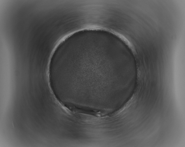 X0000112181327200908211452