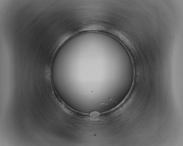 X0000112181329200908211452