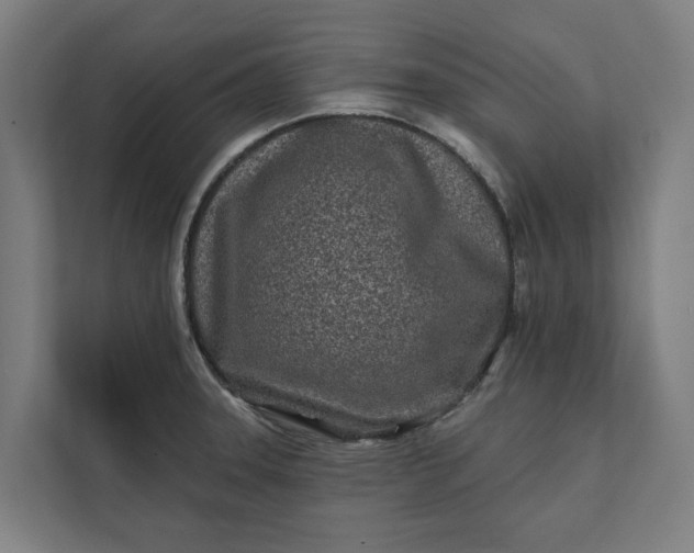 X0000112181331200908211452