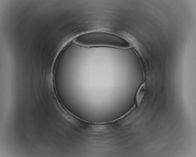 X0000112181332200908211452