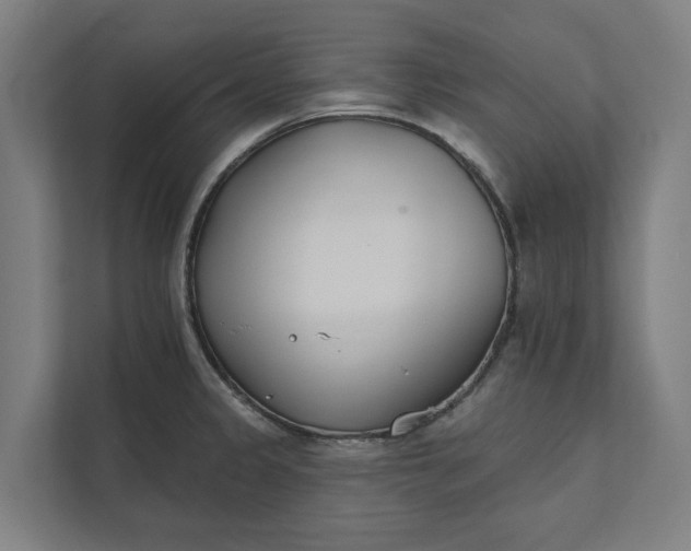 X0000112181333200908211452