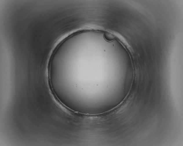 X0000112181335200908211452