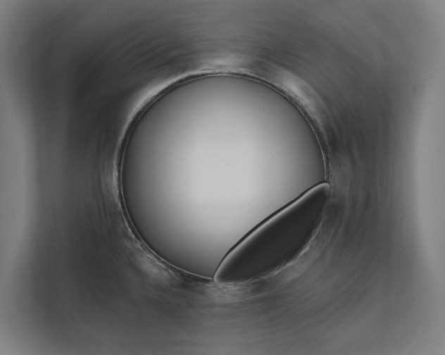 X0000112181336200908211452