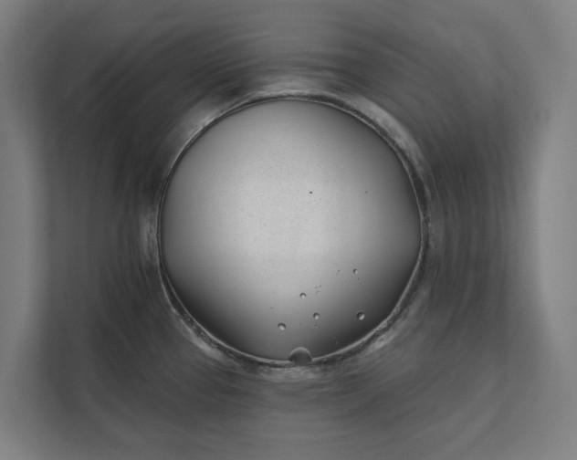 X0000112181337200908211452