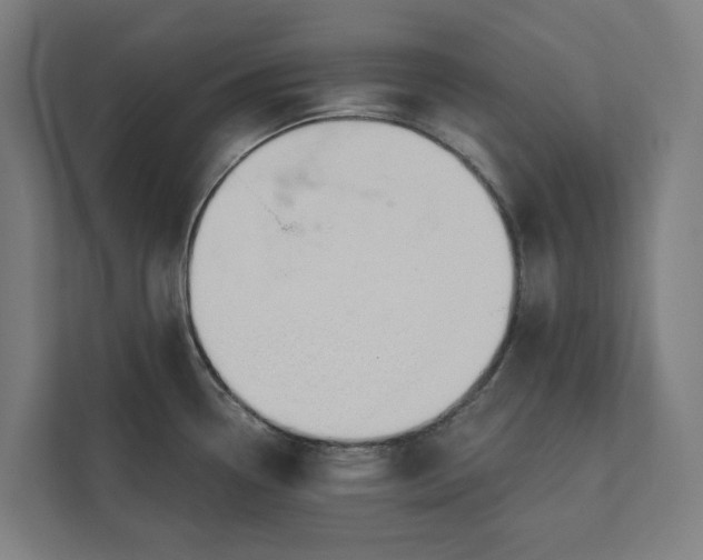 X0000112181338200908211452