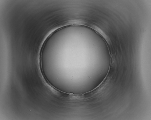 X0000112181339200908211452