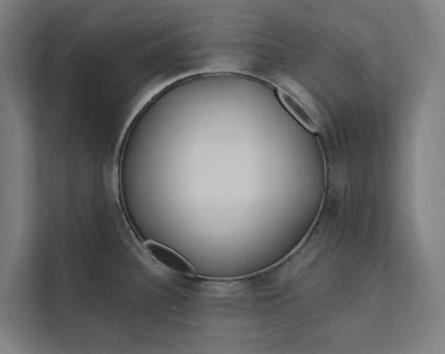 X0000112181340200908211452