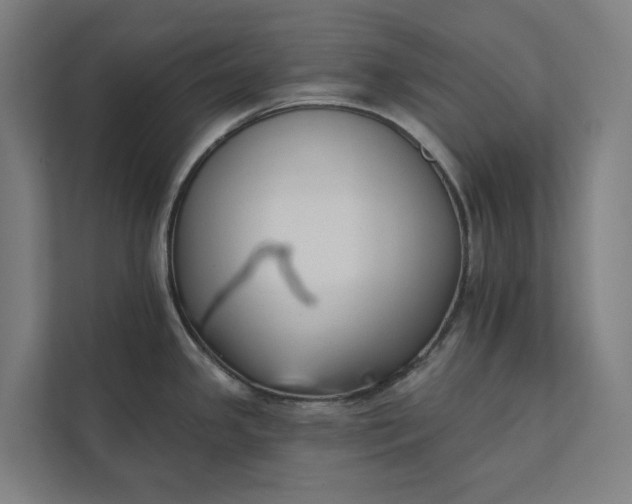 X0000112181341200908211452