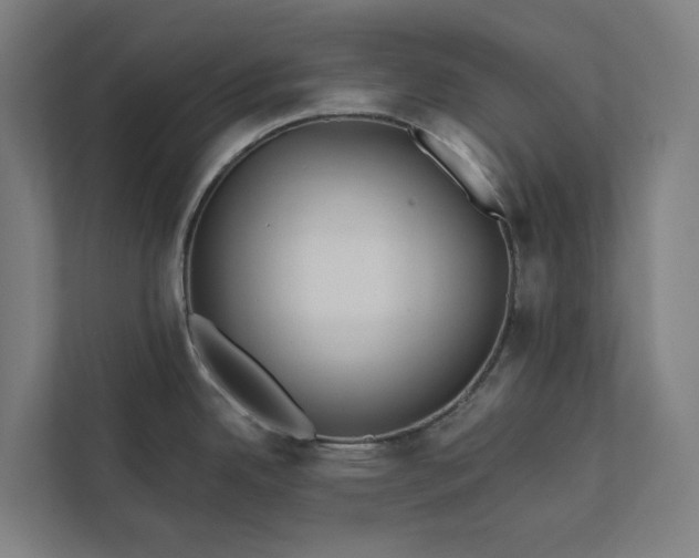 X0000112181342200908211452