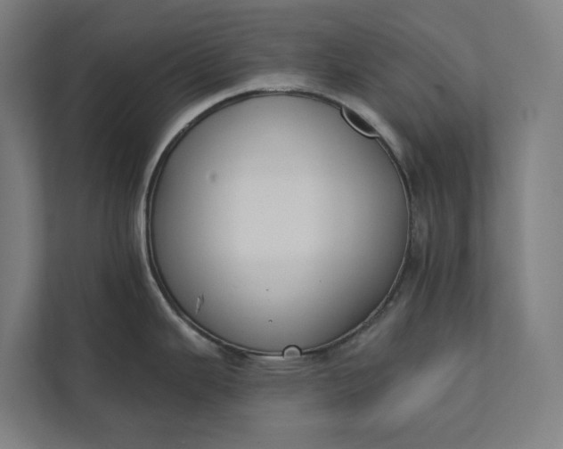 X0000112181343200908211452