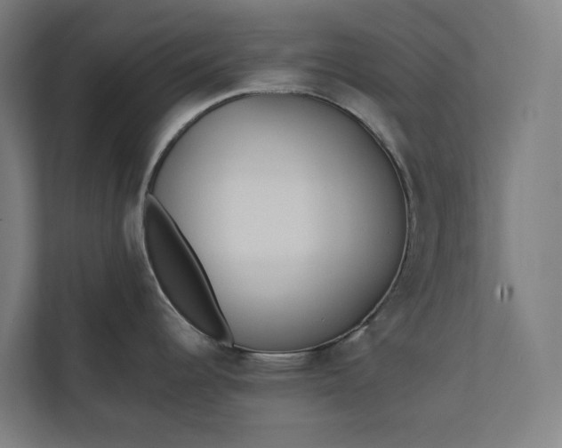 X0000112181344200908211452