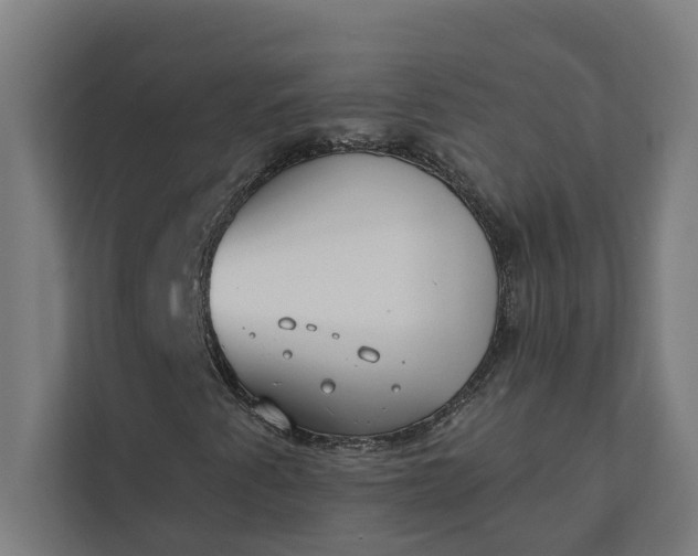 X0000112181345200908211452