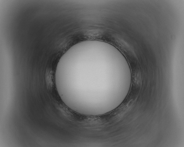 X0000112181346200908211452