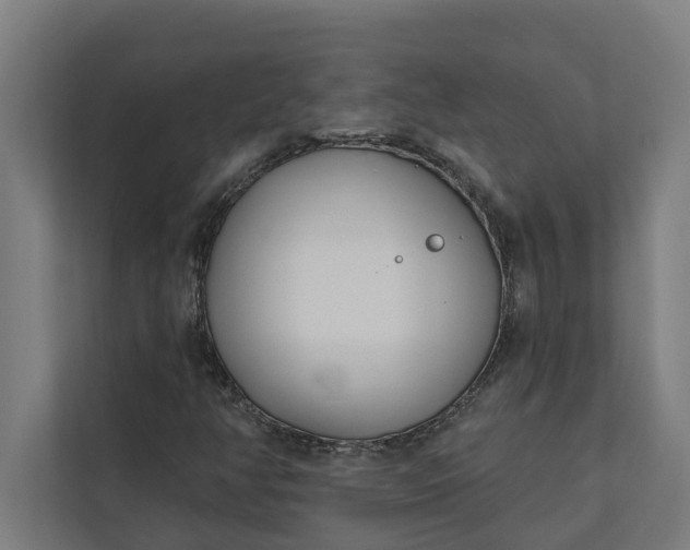 X0000112181350200908211452