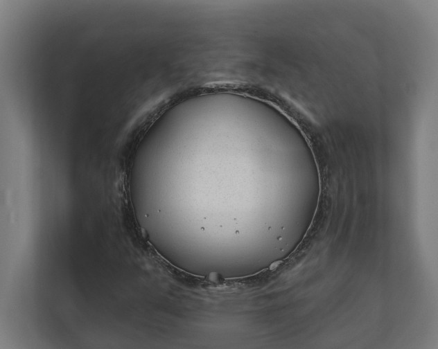 X0000112181351200908211452