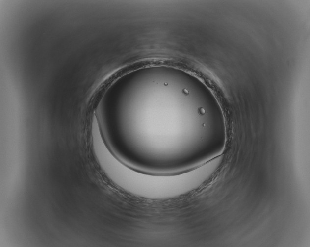 X0000112181352200908211452