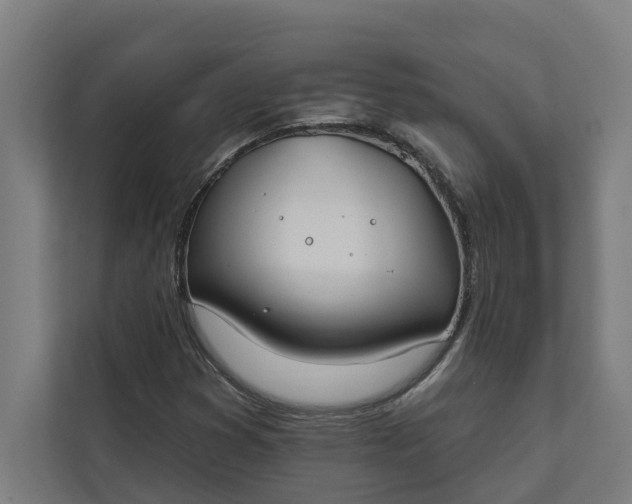 X0000112181353200908211451