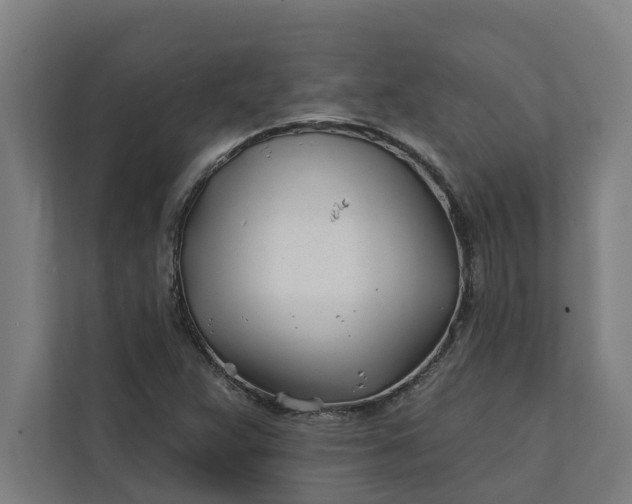 X0000112181359200908211451