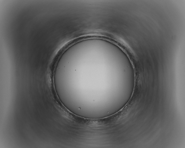 X0000112181360200908211451