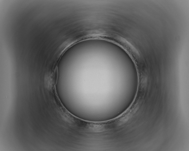 X0000112181361200908211451