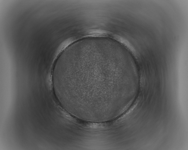 X0000112181362200908211451