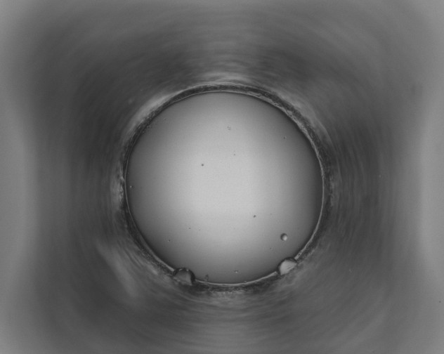 X0000112181363200908211451