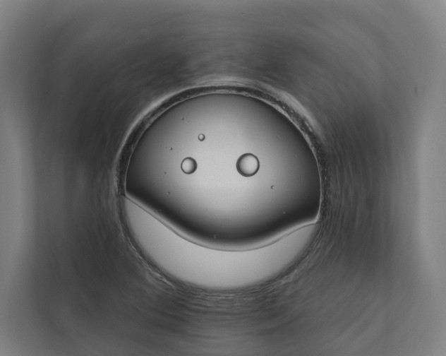 X0000112181364200908211451