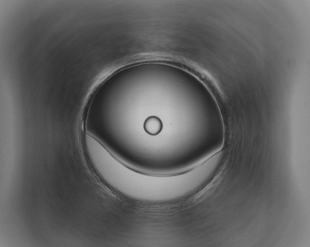 X0000112181365200908211451