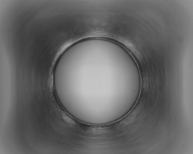 X0000112181366200908211451