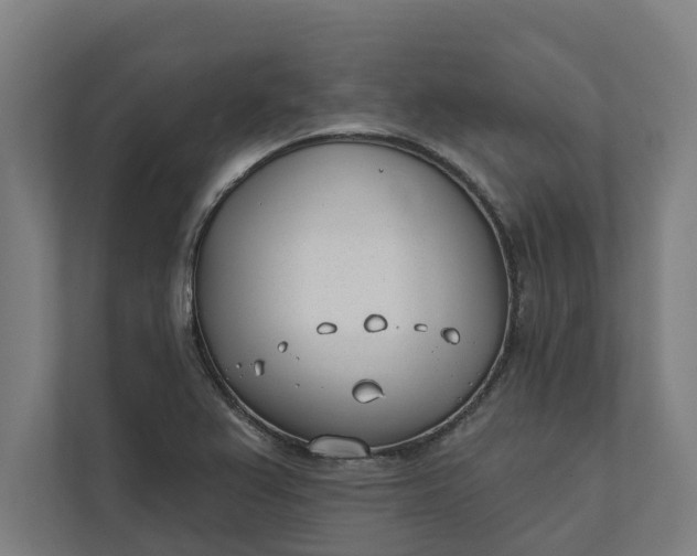 X0000112181367200908211451