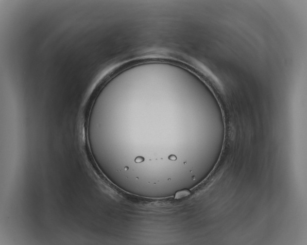 X0000112181368200908211451