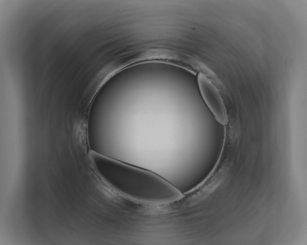 X0000112181369200908211451