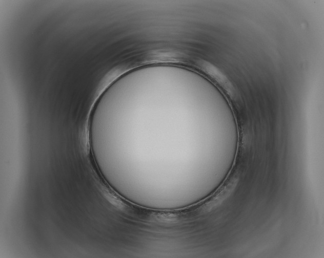 X0000112181370200908211451