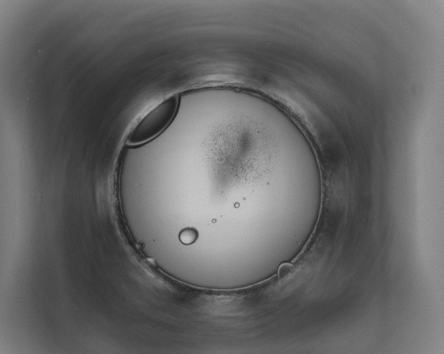 X0000112181373200908211451