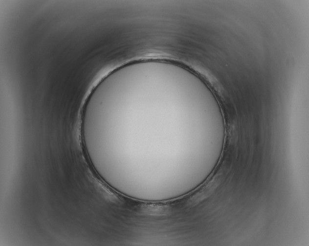 X0000112181374200908211451