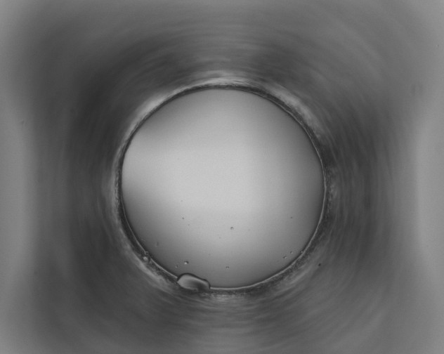 X0000112181375200908211451