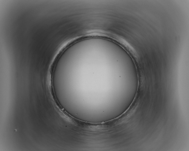 X0000112181376200908211451