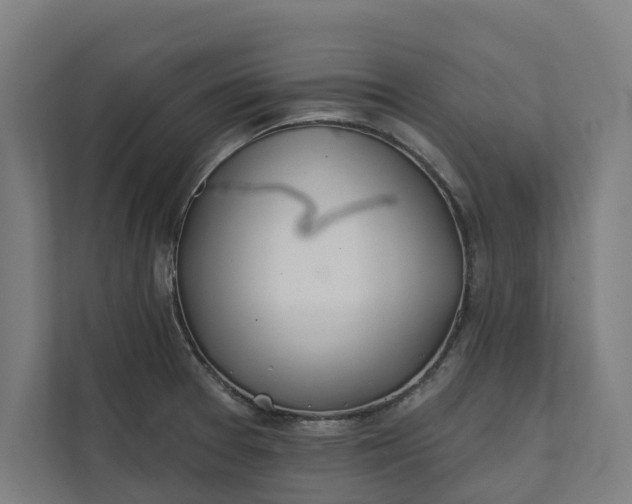 X0000112181377200908211451